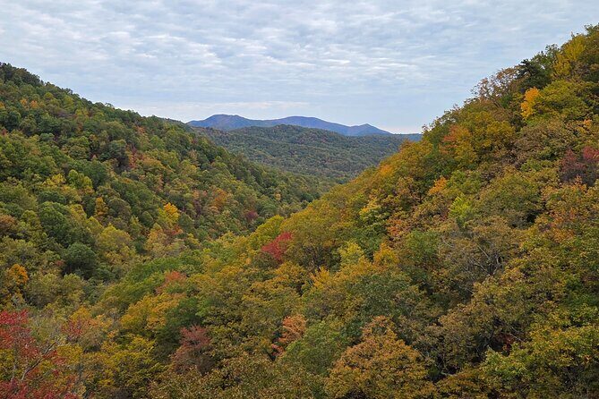 Catawba Waterfall Hike Half Day Tour - What Makes This Tour Special?
