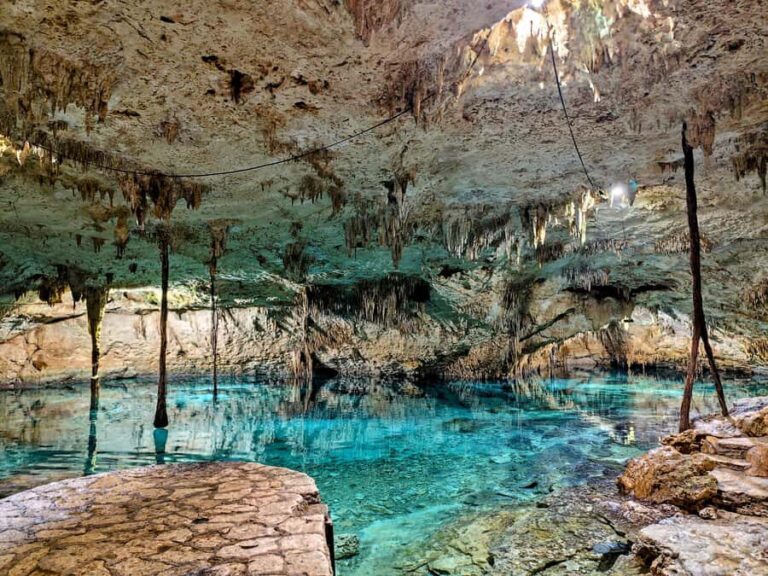 Cenote Exploration & Paradise Lagoon - Detailed Review of the Tour Experience