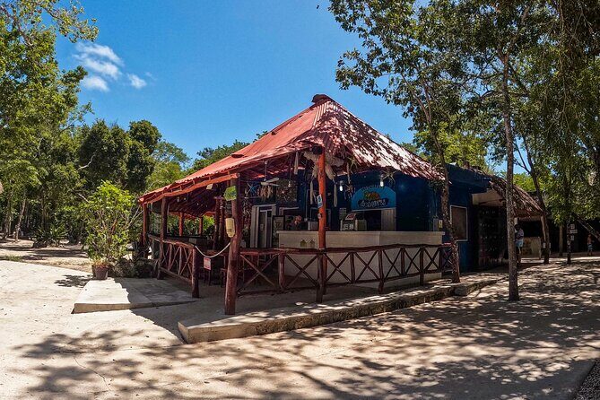 Cenotes Casa Tortuga: 4 Cenotes Day Pass + Kayak - A Deep Dive into the Cenotes Casa Tortuga Experience
