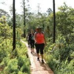 Central Florida Guided Nature Walk and Private Yoga Class - A Deep Dive into the Experience