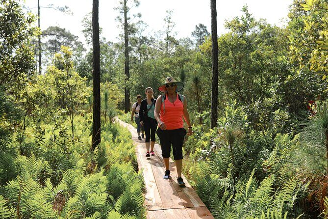 Central Florida Guided Nature Walk and Private Yoga Class - A Deep Dive into the Experience