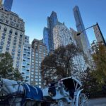 Central Park Carriage Ride NYCs Timeless Tour - FAQs