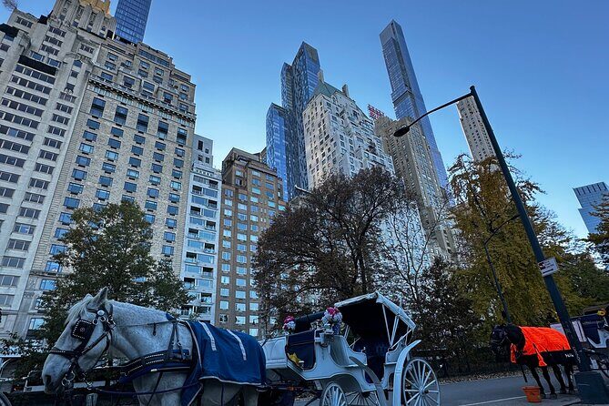 Central Park Carriage Ride NYCs Timeless Tour - FAQs