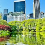 Central Park Pedicab Tour / Photo Stops - The Sum Up: Who Benefits Most from the Central Park Pedicab Tour?