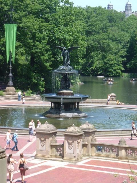 Central Park Walking Tour - A Walk Through the Heart of New York: What to Expect