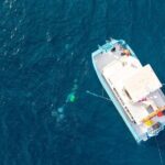 Certified Diver 2 Tank Shallow Reef Dives Off Wai'anae - The Practicalities: What to Expect