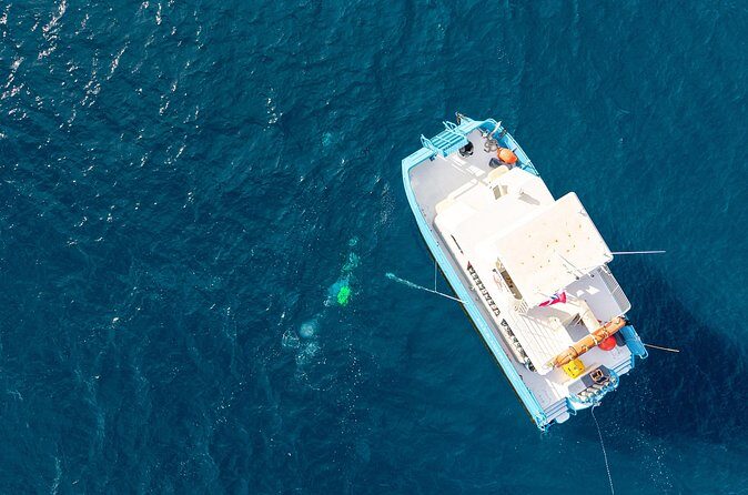 Certified Diver 2 Tank Shallow Reef Dives Off Wai'anae - The Practicalities: What to Expect