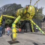 Chapultepec Castle Guided Tour - A Closer Look at the Chapultepec Castle Guided Tour