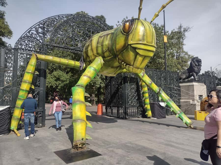 Chapultepec Castle Guided Tour - A Closer Look at the Chapultepec Castle Guided Tour