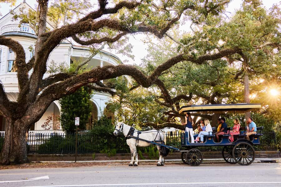 Charleston: Downtown Horse-Drawn Carriage Tour - Who Will Love This Tour?
