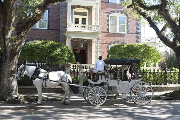 Charleston: Evening Carriage Tour - Who Should Consider This Tour?