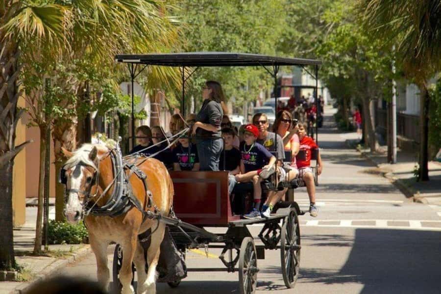 Charleston: Historic Residential Horse and Carriage Tour - Cost and Value Analysis