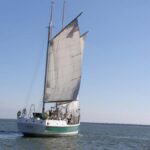 Charleston: Schooner Sailing Experience & Dolphin Watch - The Sum Up