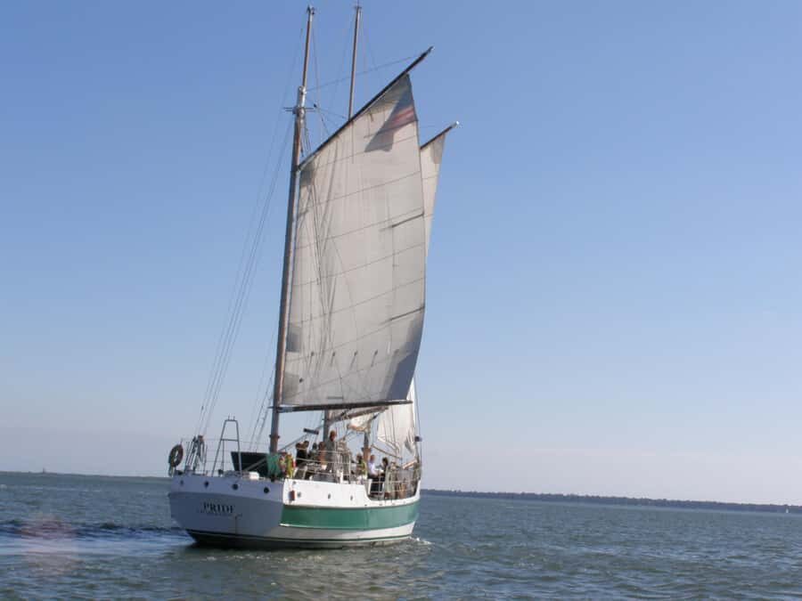 Charleston: Schooner Sailing Experience & Dolphin Watch - The Sum Up