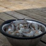 Charleston: Shem Creek Culture Tour - Deep Dive into Tour Highlights