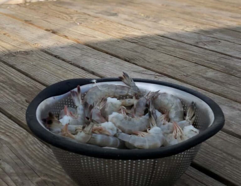 Charleston: Shem Creek Culture Tour - Deep Dive into Tour Highlights