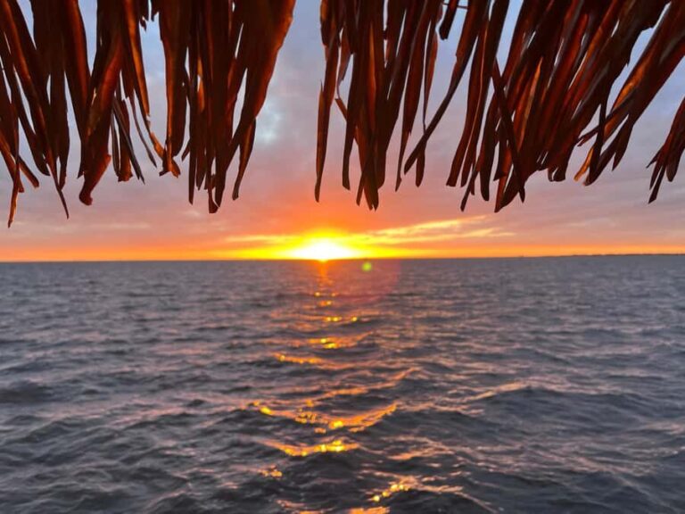 Charlotte Harbor: "The Oasis" Tiki Boat Sunset Cruise - What Makes This Experience Stand Out?