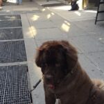 Chelsea Herald and Times Square - Breakdown of the Itinerary