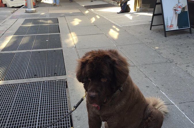 Chelsea Herald and Times Square - Breakdown of the Itinerary