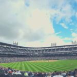 Chicago: Chicago White Sox Baseball Game Ticket - An In-Depth Look at the White Sox Game Experience