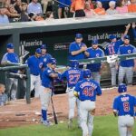 Chicago Cubs Baseball Game at Wrigley Field - Final Thoughts