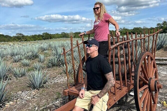 Chichen Itza, Cenote, Tequila and Valladolid Tour from Tulum - Frequently Asked Questions