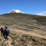 Chimborazo Volcano and Condor Cocha Lagoon Day Tour - The Itinerary: A Step-by-Step Breakdown