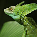 Chocolate Tour and Night Tour - Who Should Book This Tour?