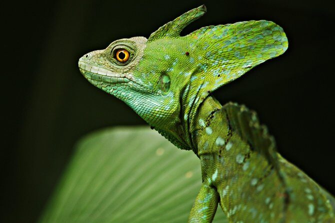 Chocolate Tour and Night Tour - Who Should Book This Tour?