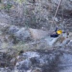 Ciénega de González, Nuevo León: Canyoning in Laberinto and Salto - Frequently Asked Questions