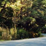 Circuito Chico Excursion in Bariloche (Short Circuit) - What Travelers Say About This Tour