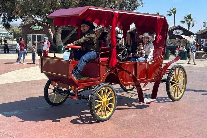 City Carriage Tours and Horseback Riding on the Beach - FAQ