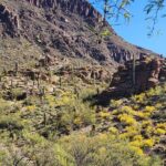 City of Tucson Tour - Final Thoughts: Why You Should Consider This Tour