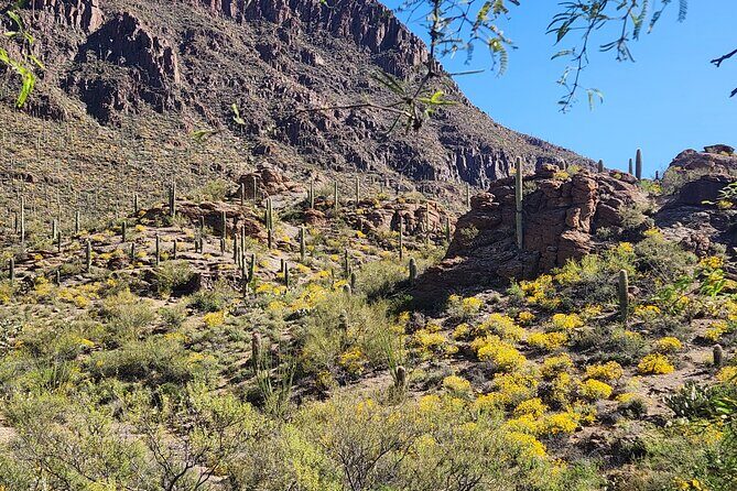 City of Tucson Tour - Final Thoughts: Why You Should Consider This Tour