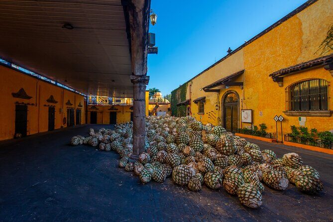 Classical Experience - Who Should Take This Tour?