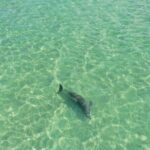 Clear Kayak Tour of Clearwater Beach - The Sum Up: Who Should Consider This Tour?
