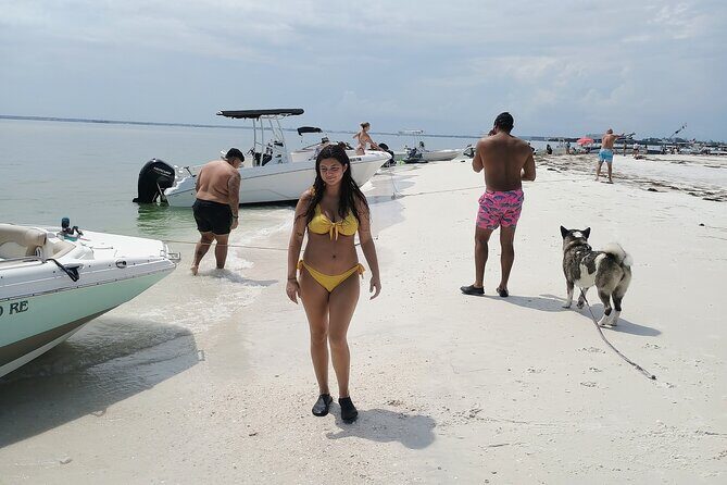 Clearwater Island Escape  Private 4-Hour Half-Day Cruise - Authentic Experiences and Traveler Insights