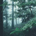 Columbia River Gorge Full Day Small Group Tour & Hike - Why This Tour Works So Well