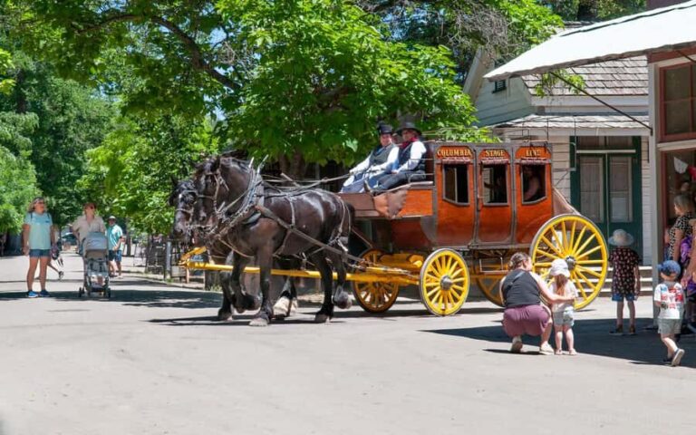 Columbia State Park: Old West Stagecoach Ride - Why Choose This Tour?