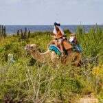 Combo ATV and Camel Ride in the Cape Desert and Buffet - Who Should Consider This Tour?