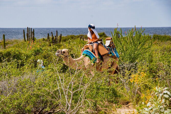 Combo ATV and Camel Ride in the Cape Desert and Buffet - Who Should Consider This Tour?