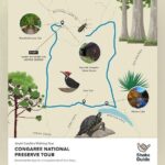 Congaree National Park Self Guided Audio Walking Tour - Practical Details and Tips