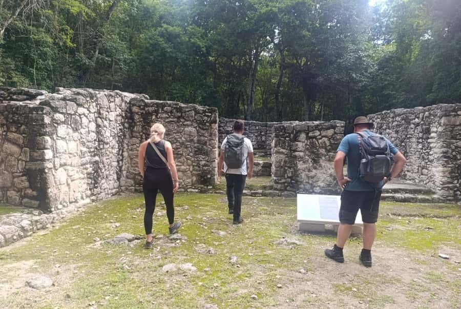 Costa Maya: Chacchoben ruins exclusive tour - Who Should Consider This Tour?