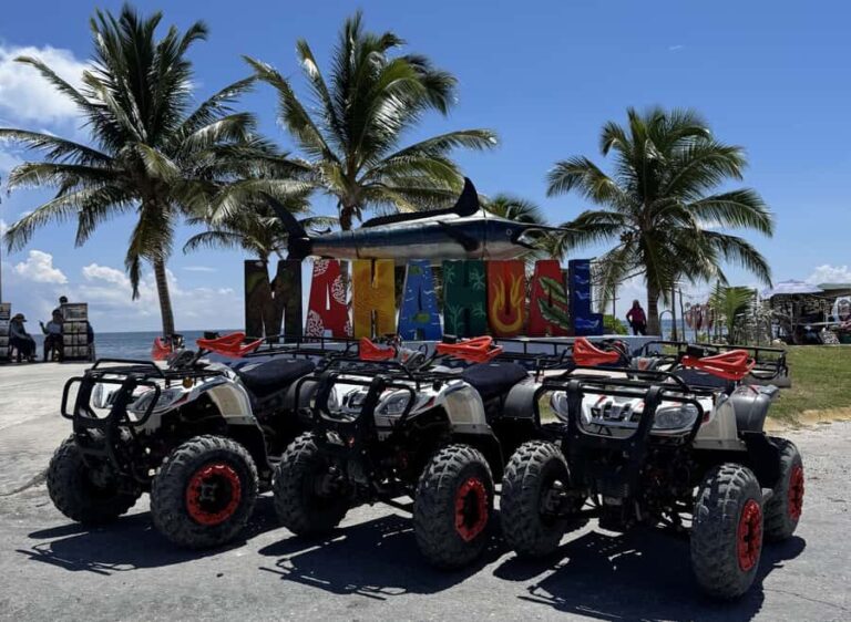 Costa Maya Open Bar ATV Adventure. - Authentic Insights from Travelers