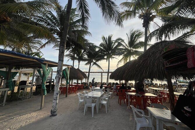 Costa Maya Private Tours Chacchoben and Beach Clubs - Transportation and Logistics