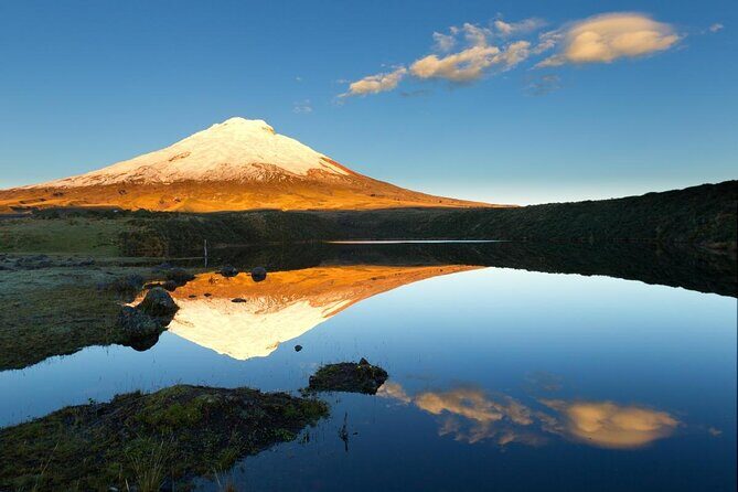 Cotopaxi Volcano and Colonial Hacienda Day Trip - First Stop: Cotopaxi National Park and Its Enchanting Landscape