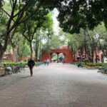 Coyoacán at night: a tour of legends, mysteries, and stories of Mexico City - Exploring Coyoacán at Night: A Detailed Review