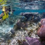 Cozumel 3 Reefs Snorkel - Authentic Experiences and Insights from Travelers