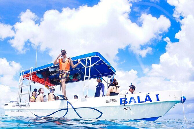 Cozumel 4-Hour Private Trip to Heaven - Who Would Love This Tour?