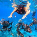 Cozumel El Cielo Reef Snorkel with Round Transportation - Frequently Asked Questions